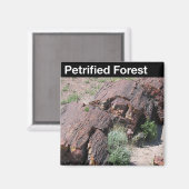 石化森林国立公園 マグネット (正面/裏面)