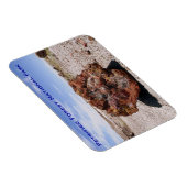 石化森林国立公園 マグネット (右側)