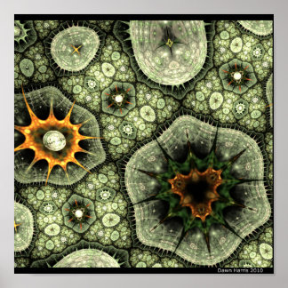 石地衣類 ポスター