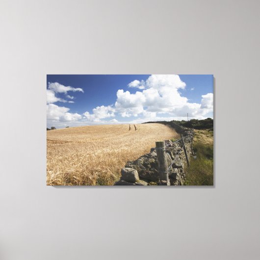 石垣に沿って建てられた有刺鉄柵 キャンバスプリント (正面)