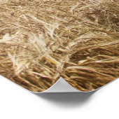 石垣に沿って建てられた有刺鉄柵 ポスター (角)