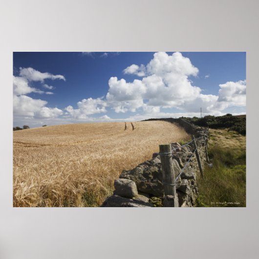 石垣に沿って建てられた有刺鉄柵 ポスター (正面)