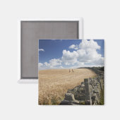 石垣に沿って建てられた有刺鉄柵 マグネット (正面/裏面)