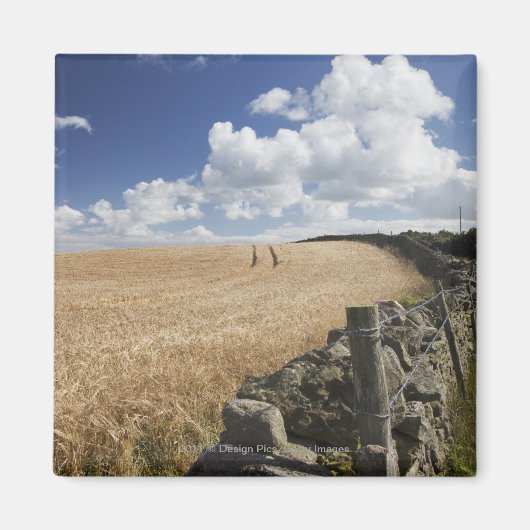 石垣に沿って建てられた有刺鉄柵 マグネット (正面)