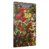 石垣に赤いバラ クリップボード (右)