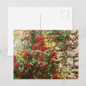 石垣に赤いバラ ポストカード (正面/裏面)