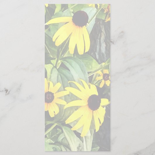 石垣のそばの黒い目のサザンズ メニュー (裏面)