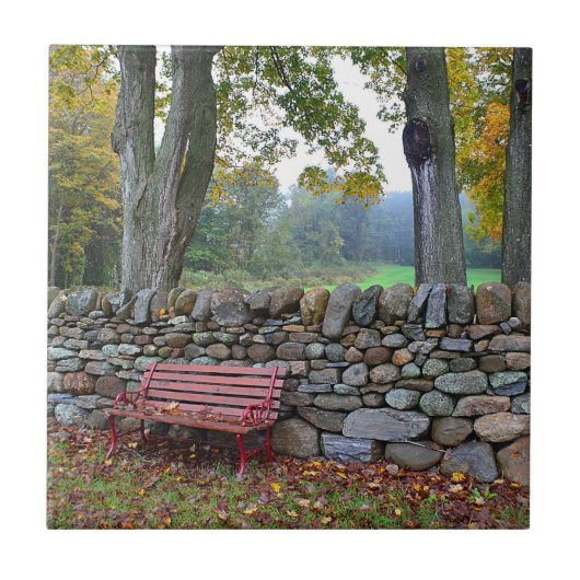 石塀のタイル タイル (正面)