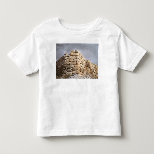 石塀の詳細 トドラーTシャツ (正面)