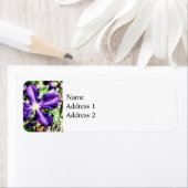 石壁のクレマティス ラベル (インサイチュ)