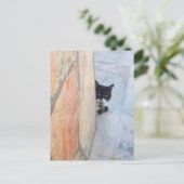 石壁の向こうの探偵猫 / 父の日 ポストカード (スタンド正面)