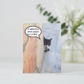 石壁の奥の探偵猫 ポストカード (スタンド正面)