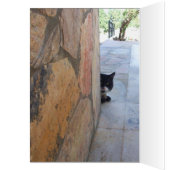 石壁の後ろの刑事ネコ (内側 (左))