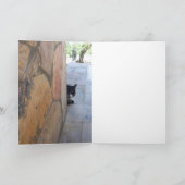 石壁の後ろの刑事ネコ カード (内部)