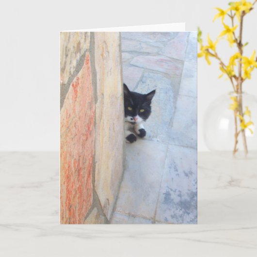石壁の後ろの刑事ネコ カード (黄色い花)