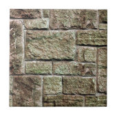 石壁 タイル (正面)
