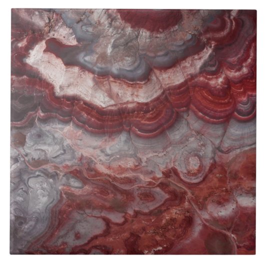 石大切瓦 タイル (正面)