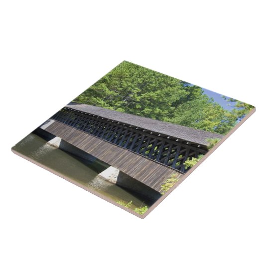 石山に覆われた石橋 タイル (側面)