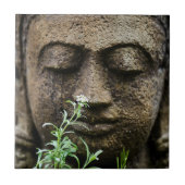 石庭花像 タイル (正面)