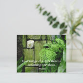 石庭:アリストテレス – 葉書 ポストカード (スタンド正面)