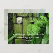 石庭:アリストテレス – 葉書 ポストカード (正面/裏面)