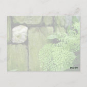 石庭:アリストテレス – 葉書 ポストカード (裏面)