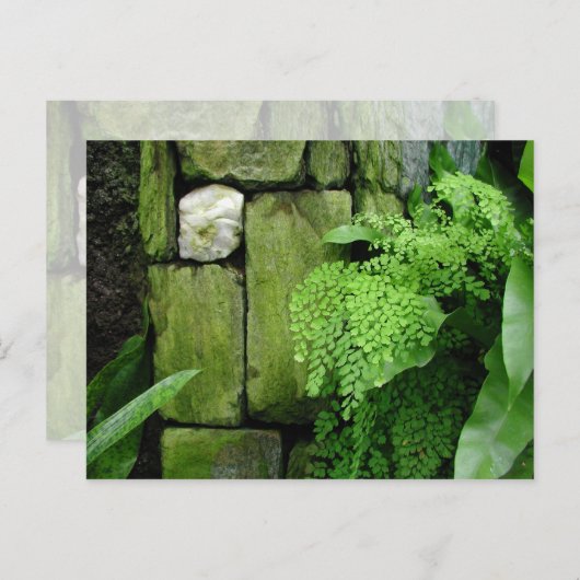 石庭 – ポストカード (正面/裏面)