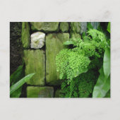 石庭 – ポストカード (正面)