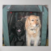 石板とサーシャ ポスター (正面)