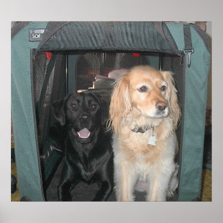 石板とサーシャ ポスター