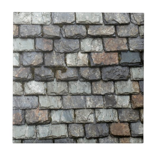 石板のプレートが付いている屋根カバー タイル (正面)