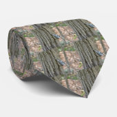 石板グレーヌサッチソンバードアイテム ネクタイ (ロール)