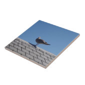 石板屋根のカモメ タイル (側面)