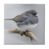 石板色の濃い目のスズメバチ タイル (正面)