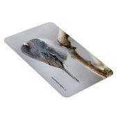 石板色の濃い目のスズメバチ マグネット (右側)