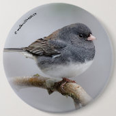 石板色の濃い目のスズメバチ 缶バッジ (正面)