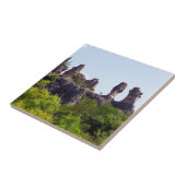 石林の尖塔 石の森 - 中国雲南省,アジア タイル (側面)