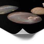 石枠と多肉質1 ポスター (角)