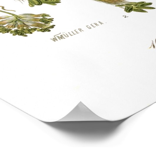 石棺 ポスター (角)