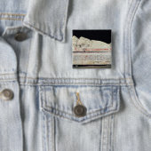 石棺、Etruscan 缶バッジ (インサイチュ)