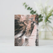 石橋の夢 ポストカード (スタンド正面)