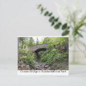 石橋 – アカディア国立公園 ポストカード (スタンド正面)