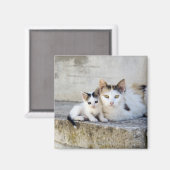 石段に二匹の猫 マグネット (正面/裏面)