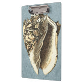 石洗浄コンチシェル クリップボード (左)