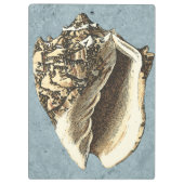 石洗浄コンチシェル クリップボード (裏面)