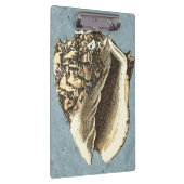 石洗浄コンチシェル クリップボード (右)