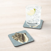 石洗浄コンチシェル コースター (右側)