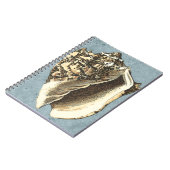 石洗浄コンチシェル ノートブック (左側)