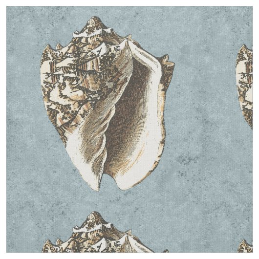 石洗浄コンチシェル ファブリック (クローズアップ)