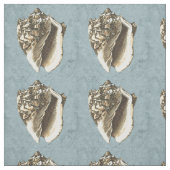 石洗浄コンチシェル ファブリック (見本)